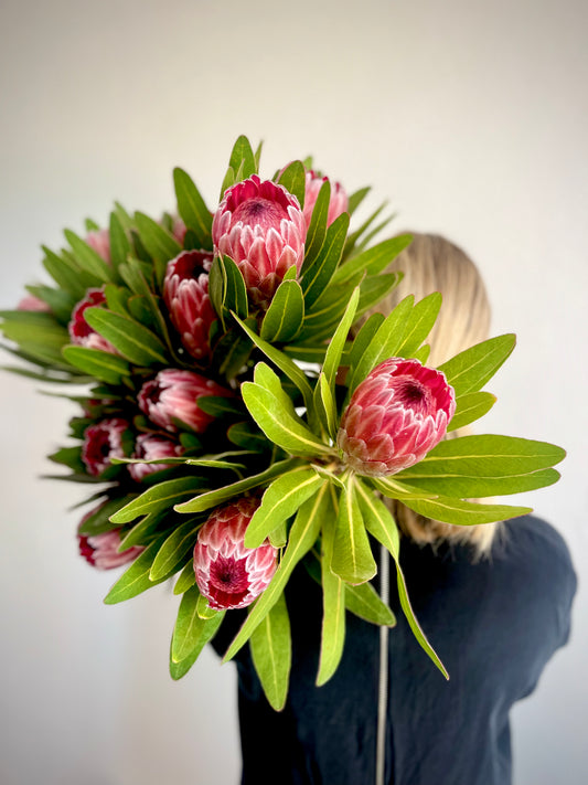 Protea Bouquet - Special