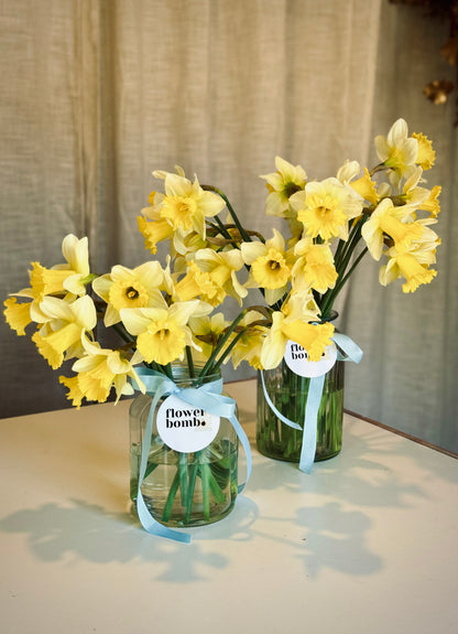 Local Daffodils