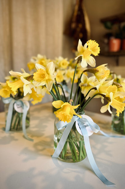 Local Daffodils